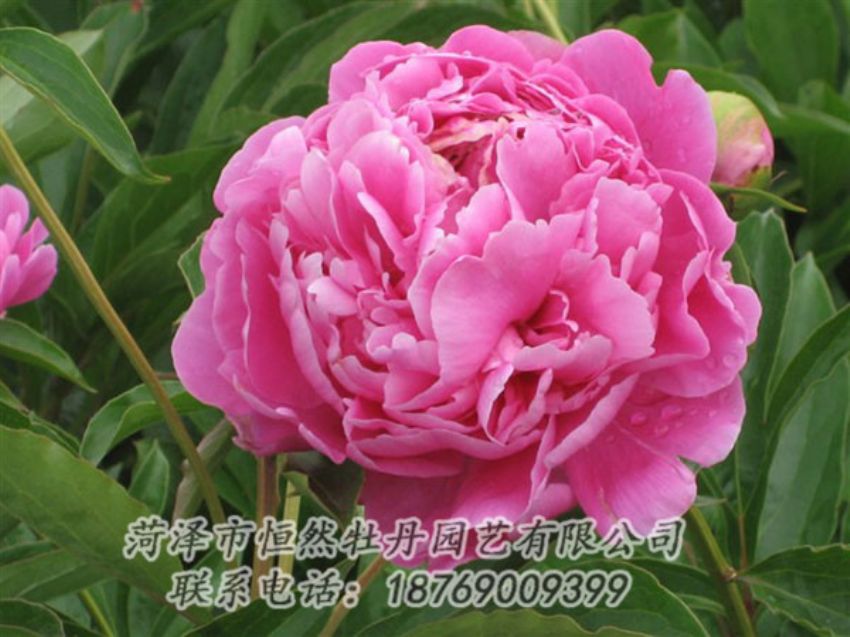 點(diǎn)擊查看詳細(xì)信息<br>標(biāo)題：月照山河 閱讀次數(shù)：1045